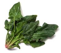 Spinach Toppings